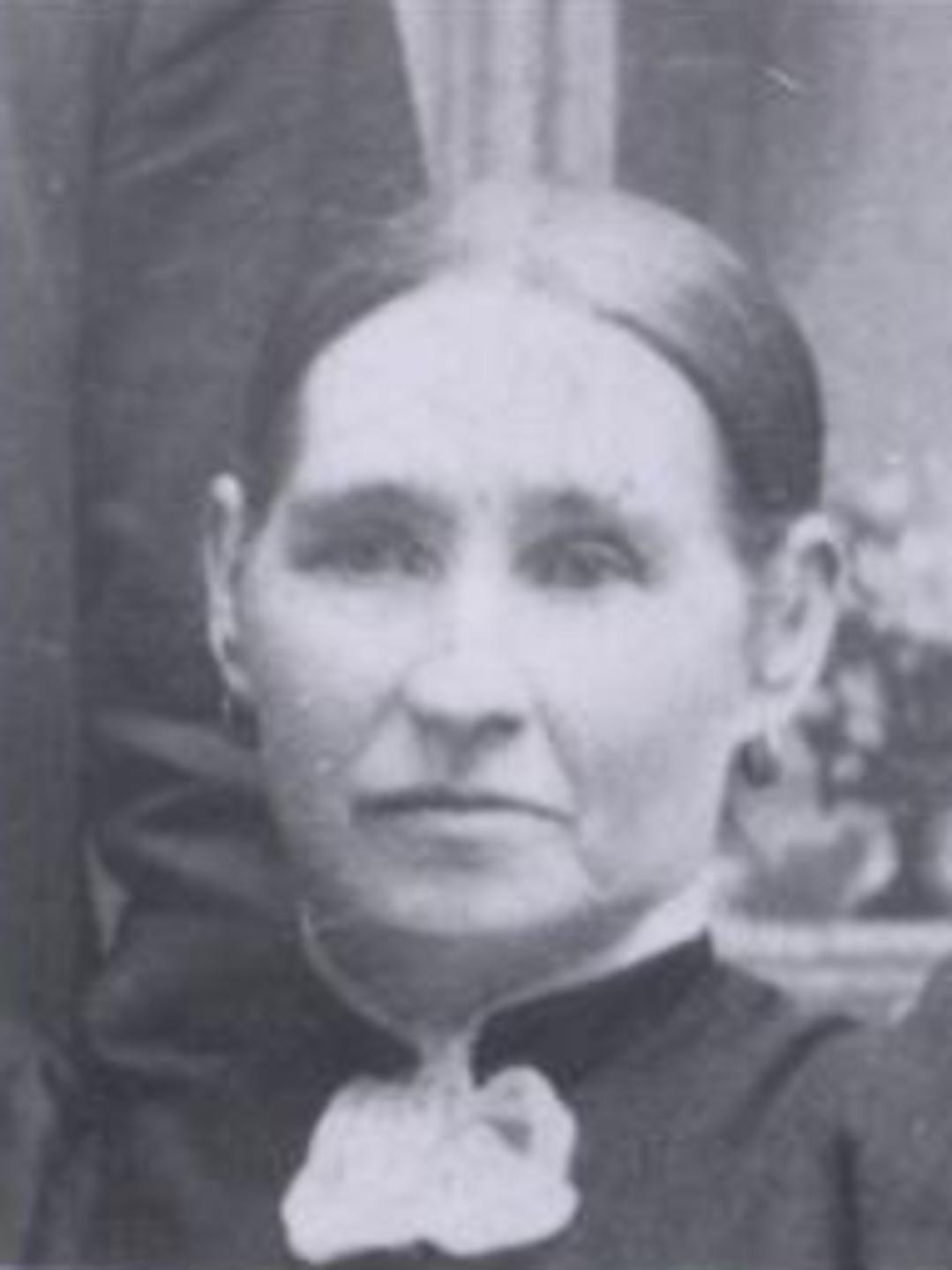 Anna Louise Hoagland Hedquist (1841 - 1922) Profile